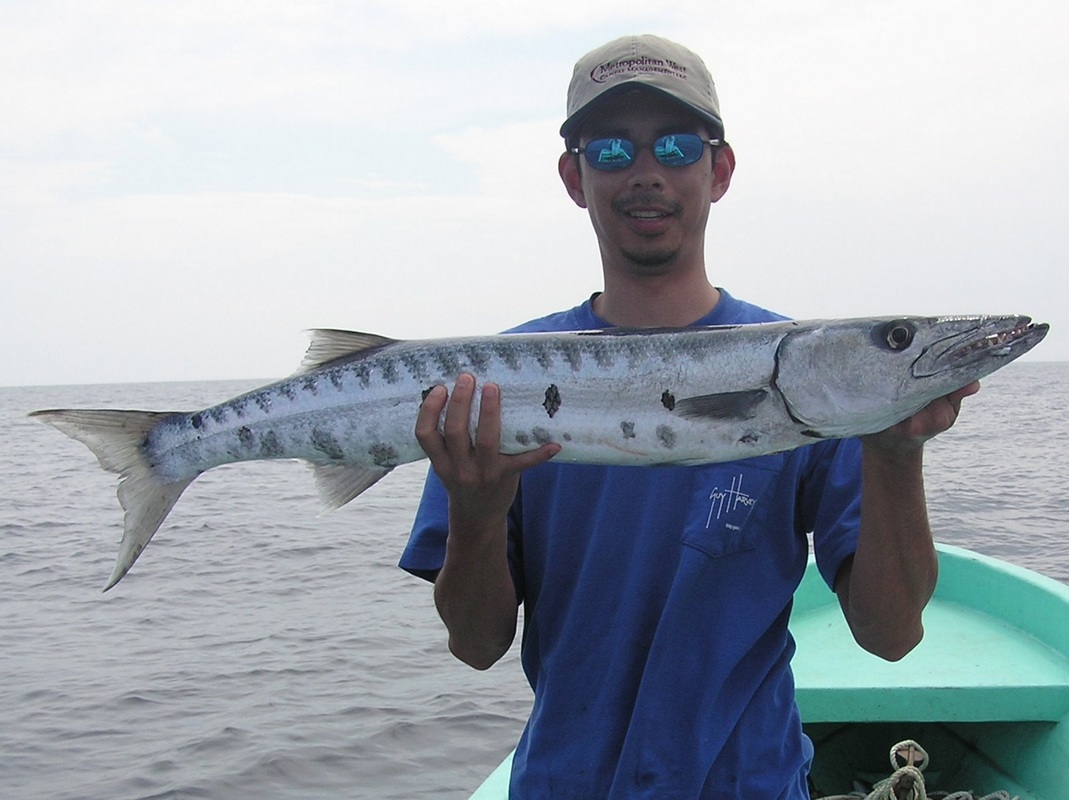 How to Catch Great Barracuda - Tips for Fishing for Barracuda