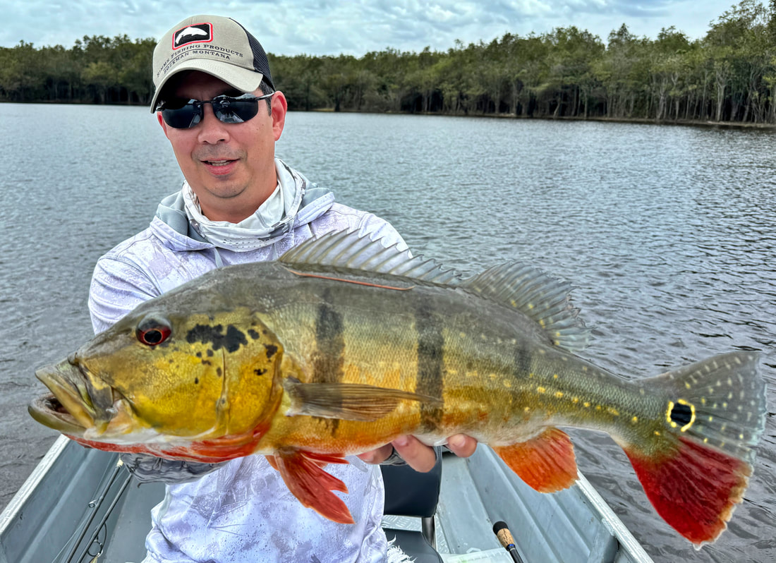 Fishing report from the  for Arapaima and Peacock Bass