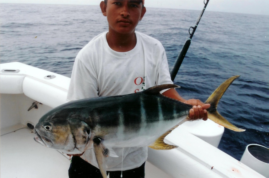 How to Catch Jack Crevalle Tips for Fishing for Jack