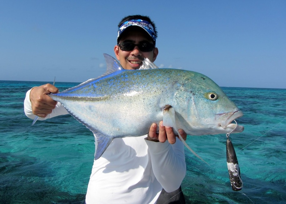 How to Catch Bluefin Trevally (Omilu) - Tips for Fishing for Bluefin  Trevally (Omilu)
