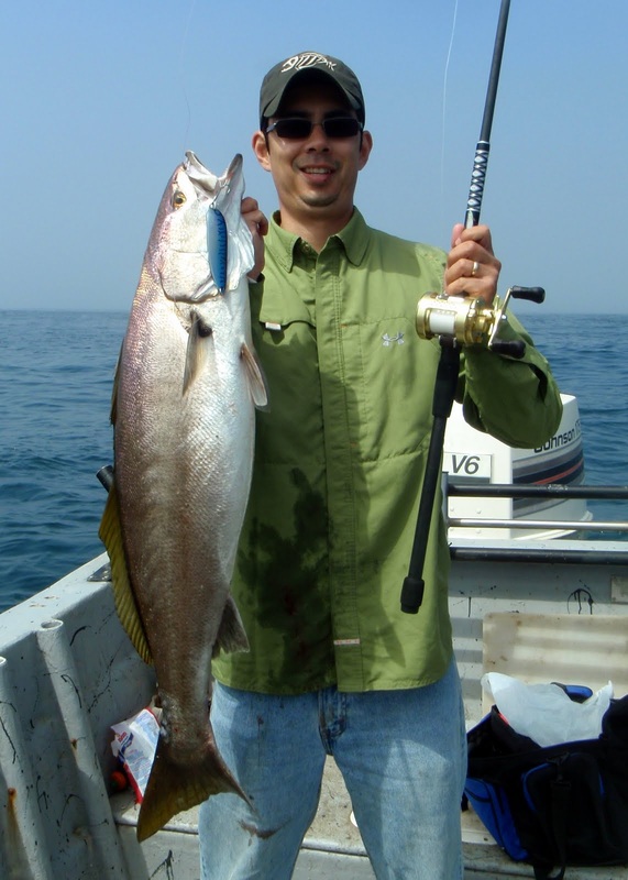 How to Catch White Seabass - Tips for Fishing for White Seabass