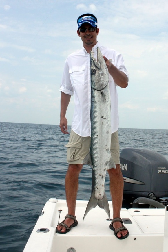 Florida Fishing Tackle Barracuda Brand Spark A Lure lot L4