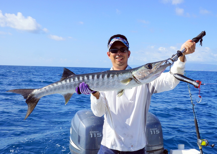 Florida Fishing Tackle Barracuda Brand Spark A Lure lot L4