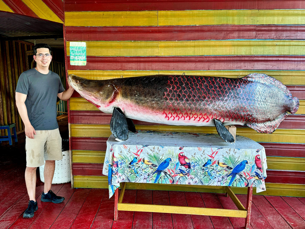Ikan Arapaima Raksasa