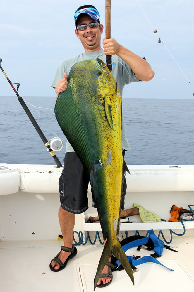 How to Catch Dorado (Mahi-mahi) - Tips for Fishing for Dorado (mahi-mahi or  Dolphinfish)