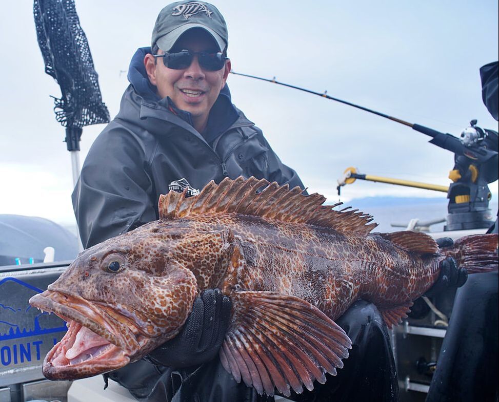 Rock Cod And Lingcod Fishing Tips And Tackle  