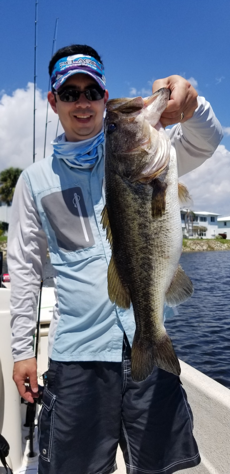 Big Florida Bass on Spinner Baits 