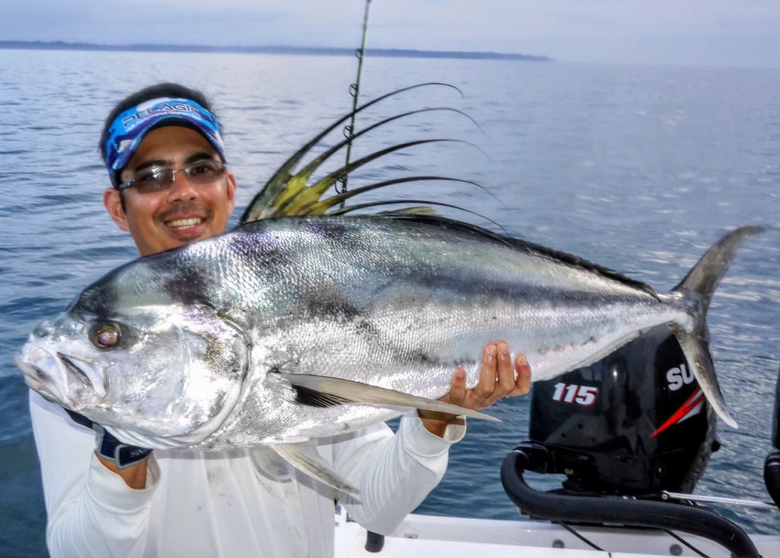 How to Catch Roosterfish - Tips for Fishing for Roosterfish