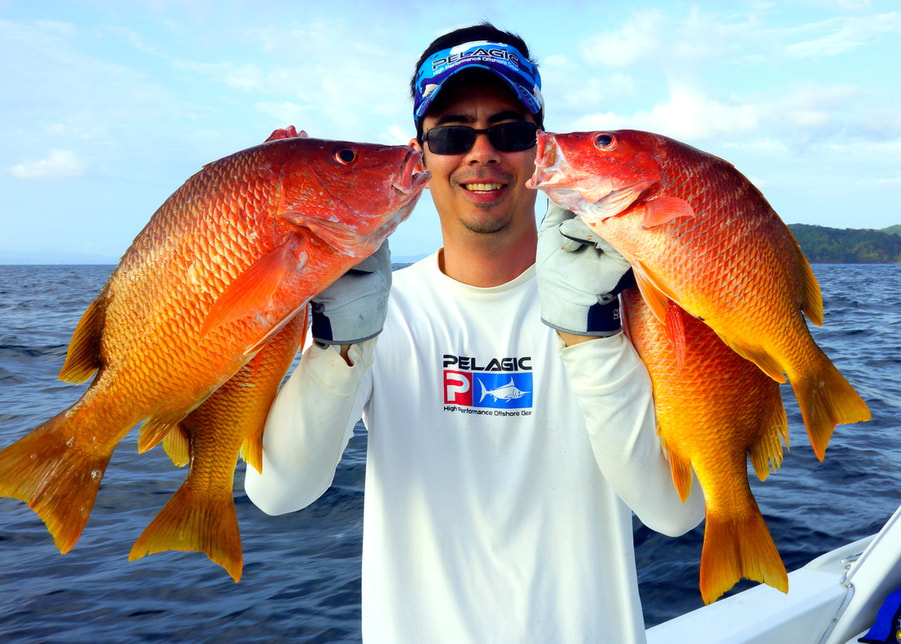 How to Catch Yellow Snapper