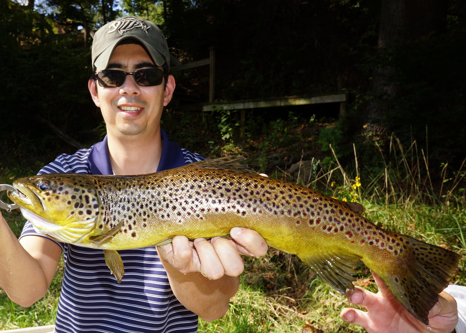 Brown Trout Lure 