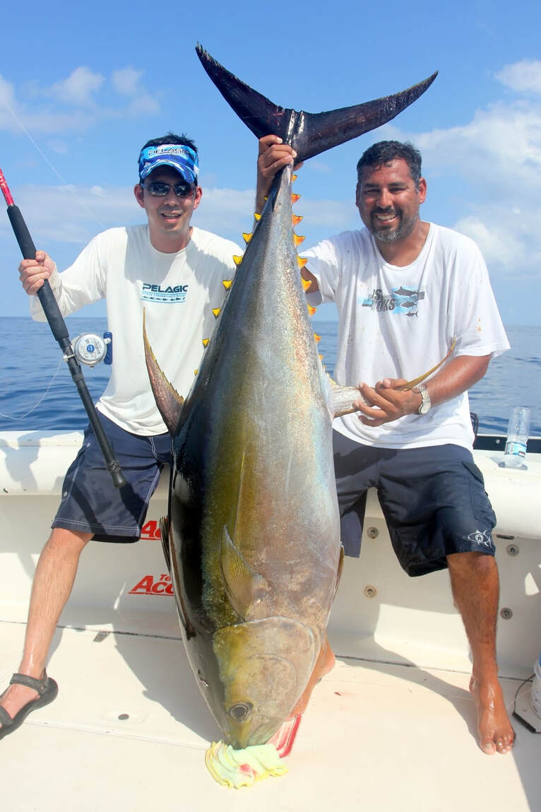 Yellowfin Tuna Tactics