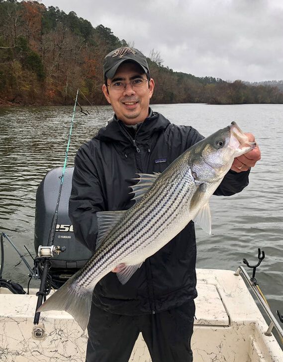 How to Catch Striped Bass (freshwater)