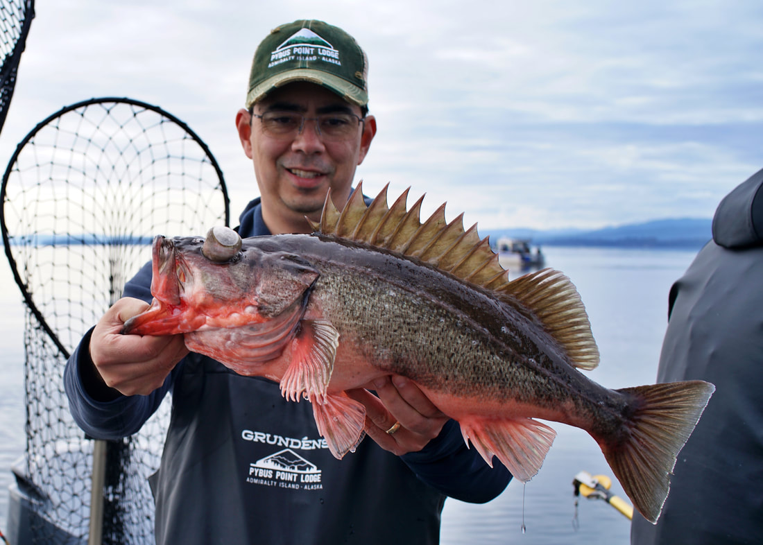 How to Catch Rockfish - Tips for Fishing For Rockfish