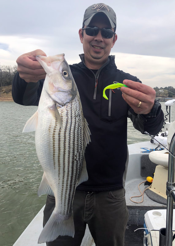 Texoma Striper Fishing with A-Rigs
